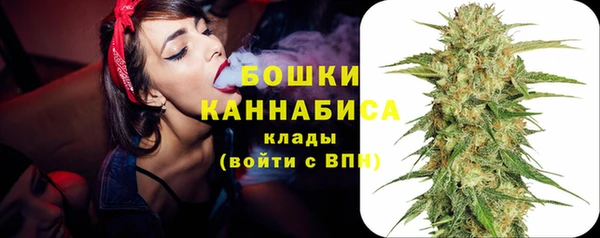 ALPHA-PVP Осинники