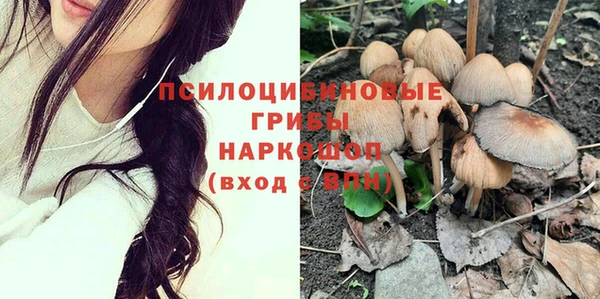 твердый Пестово