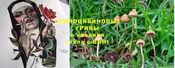 твердый Пестово