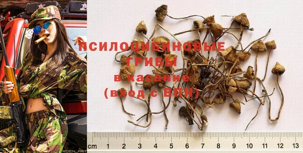 гидропоника Гатчина