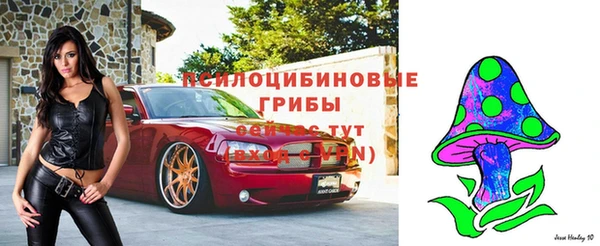 ALPHA-PVP Осинники
