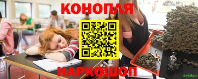 кокс Кингисепп
