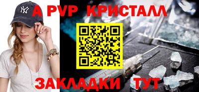 кокс Кингисепп