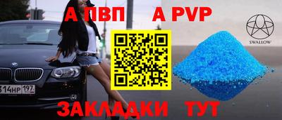 кокс Кингисепп