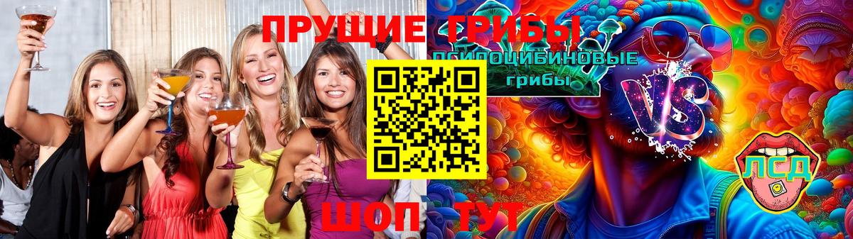 Галлюциногенные грибы Psilocybe Тула