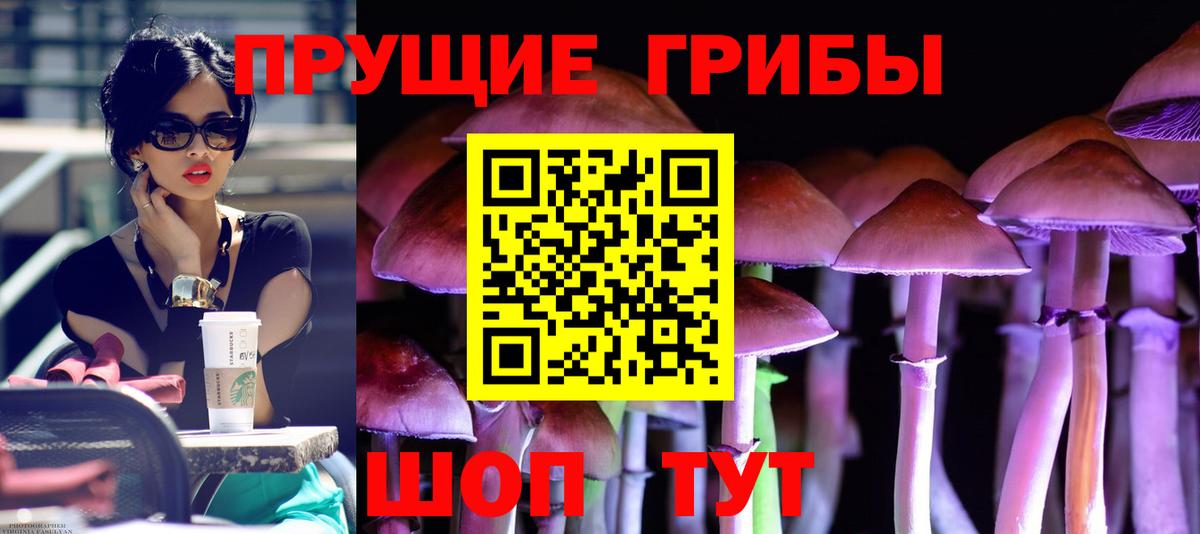 Псилоцибиновые грибы Cubensis  Тула 