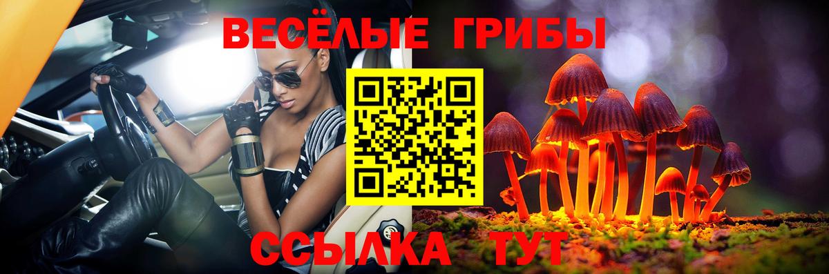 Псилоцибиновые грибы прущие грибы  Вход с VPN  Тула 
